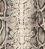 Top-Bea-piton-natural-2.jpg